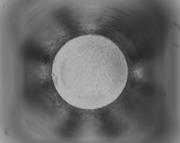 X0000103941060200810311520