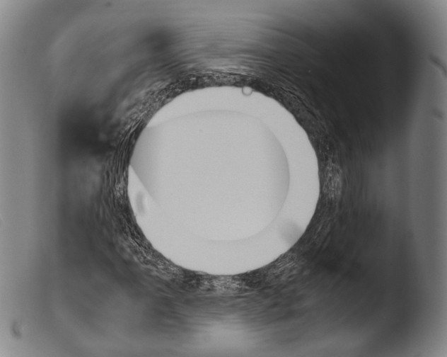 X0000103941061200810311520