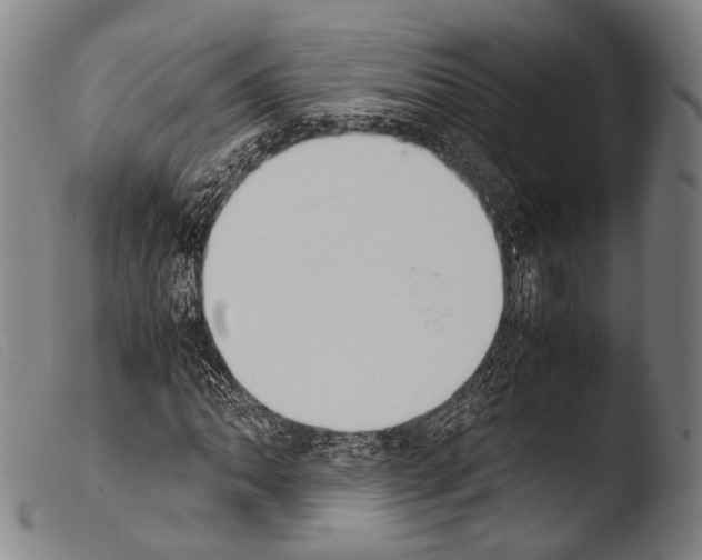 X0000103941062200810311520