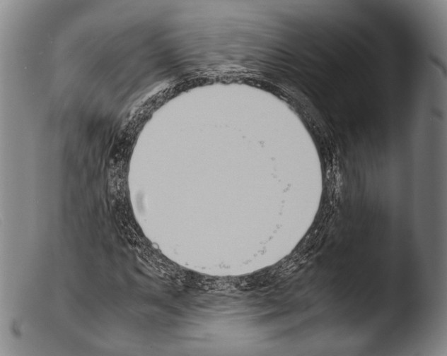 X0000103941063200810311520