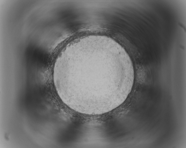 X0000103941064200810311520