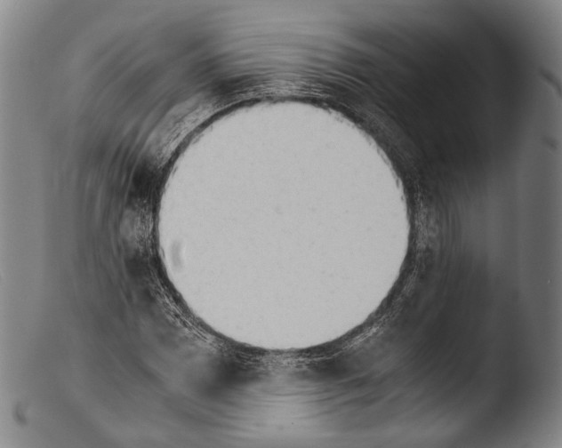 X0000103941065200810311520