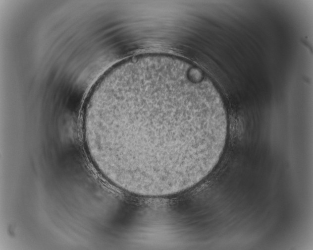 X0000103941068200810311520