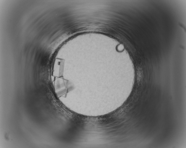 X0000103941069200810311520