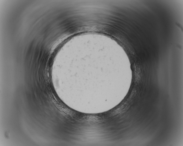 X0000103941070200810311520