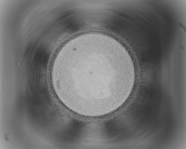 X0000103941072200810311520