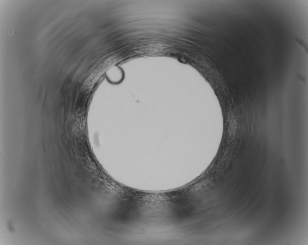 X0000103941073200810311520