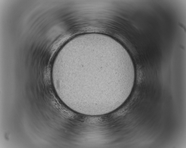 X0000103941074200810311520