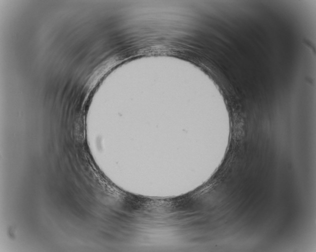 X0000103941075200810311520