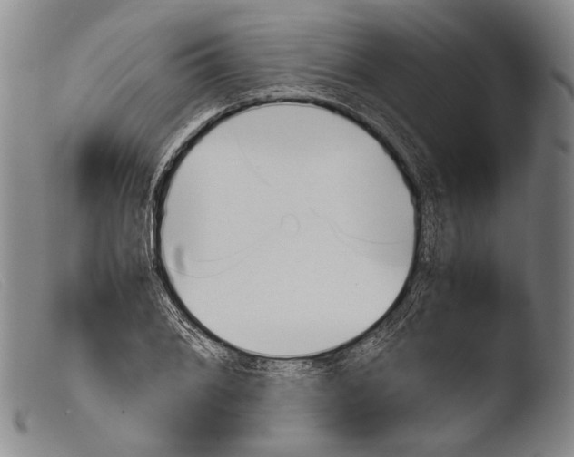 X0000103941076200810311520