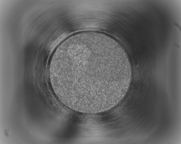 X0000103941077200810311520