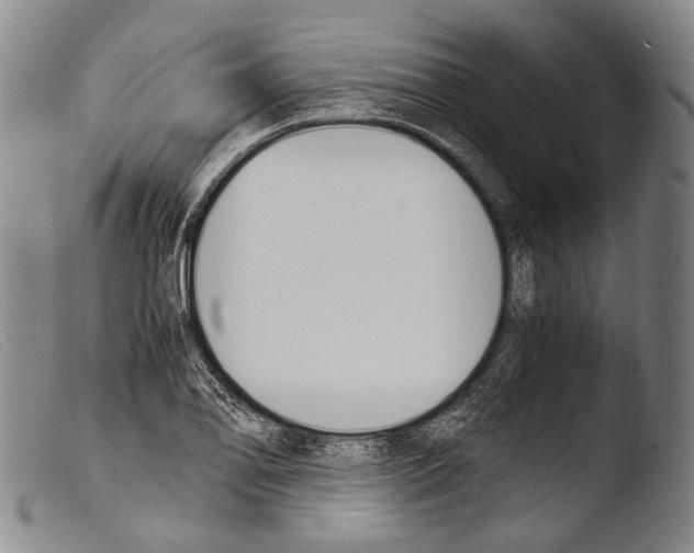 X0000103941078200810311520