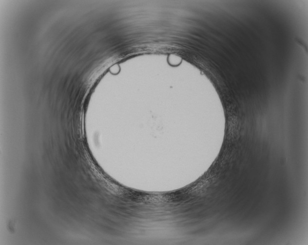 X0000103941079200810311520