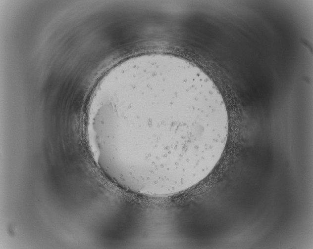 X0000103941080200810311520