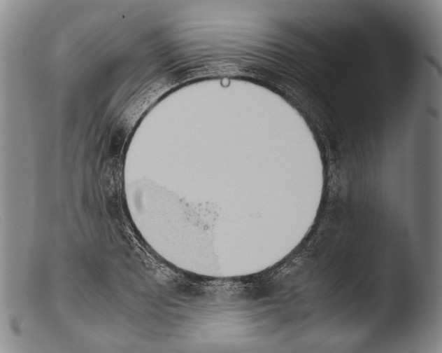 X0000103941081200810311520