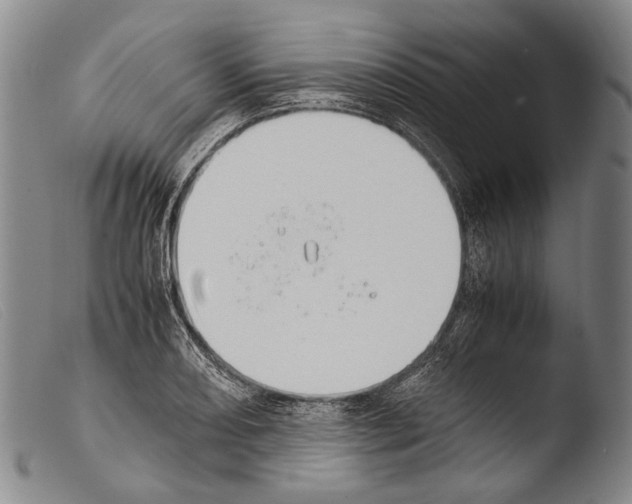 X0000103941082200810311520