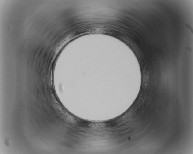 X0000103941083200810311520