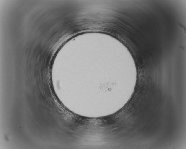 X0000103941085200810311520