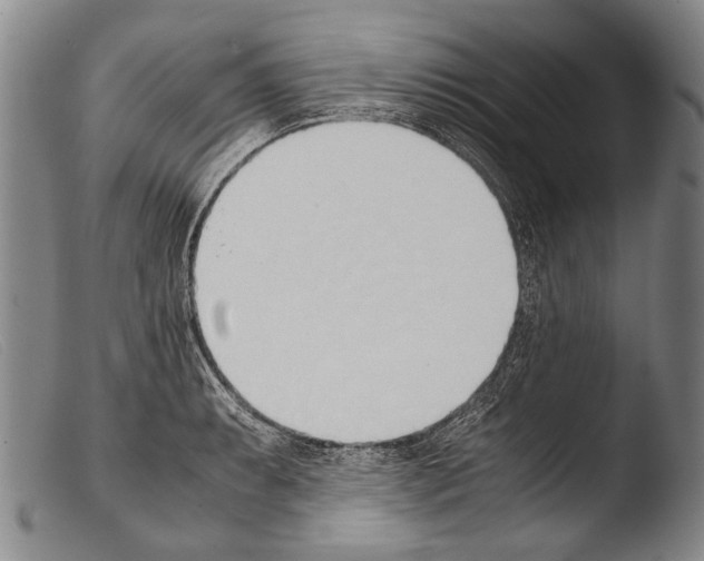 X0000103941087200810311520