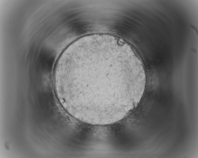 X0000103941088200810311520