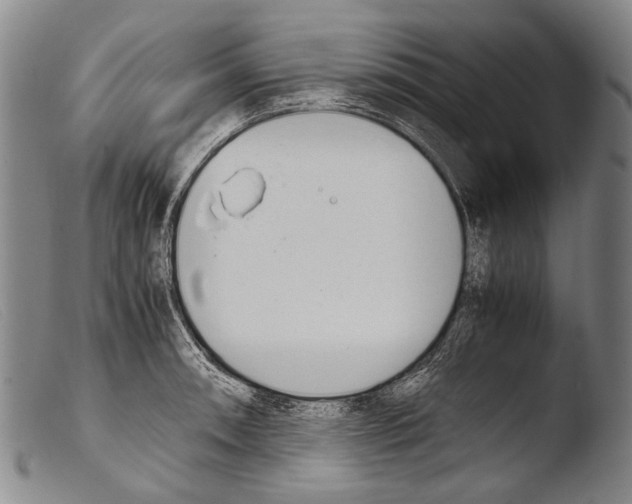 X0000103941090200810311520