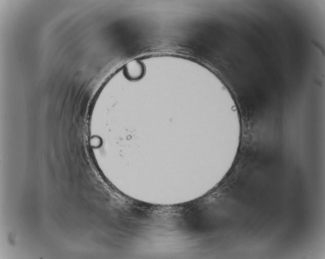 X0000103941093200810311520