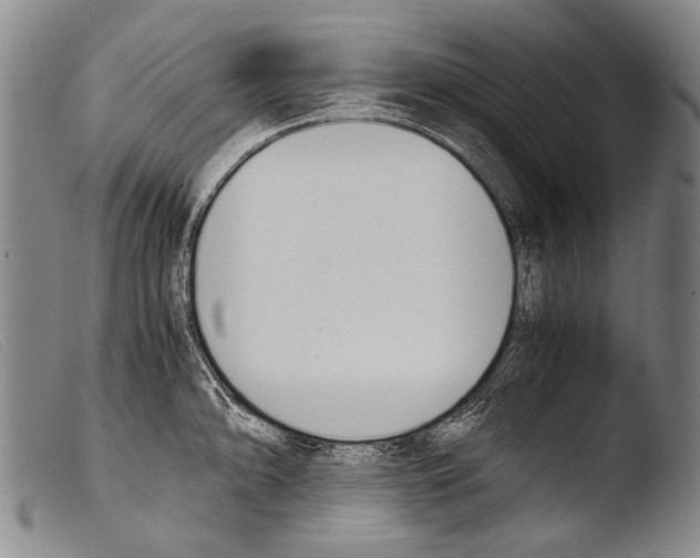 X0000103941094200810311520