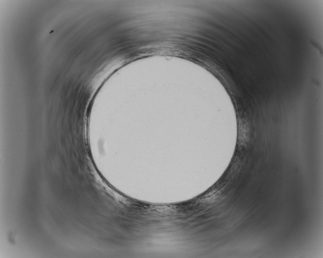 X0000103941095200810311520