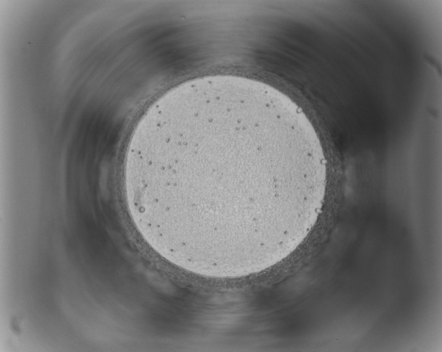 X0000103941096200810311520