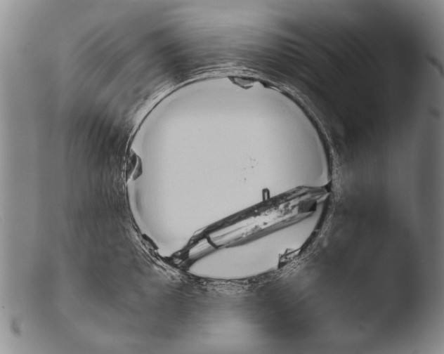 X0000103941097200810311520