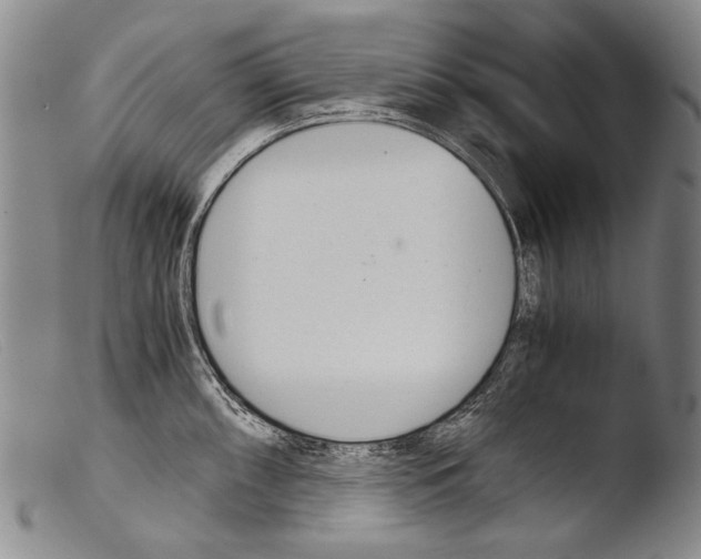 X0000103941098200810311520