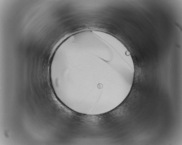 X0000103941100200810311520