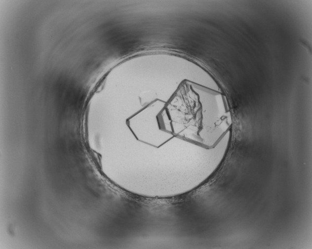 X0000103941101200810311520