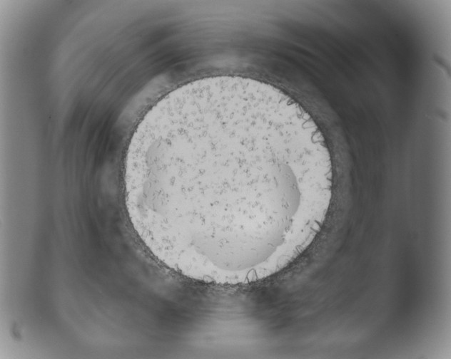 X0000103941104200810311520