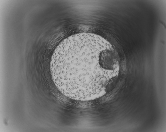 X0000103941105200810311519