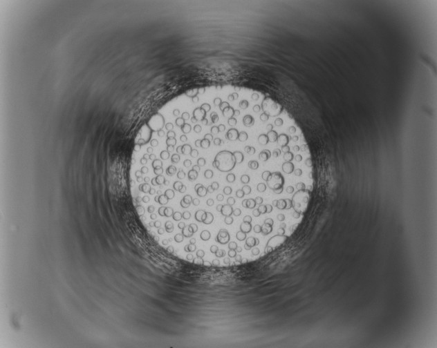 X0000103941106200810311519