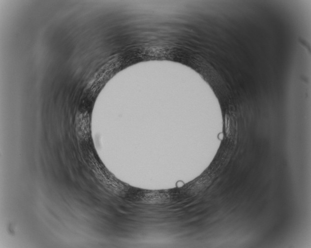 X0000103941107200810311519