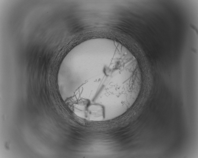 X0000103941108200810311519