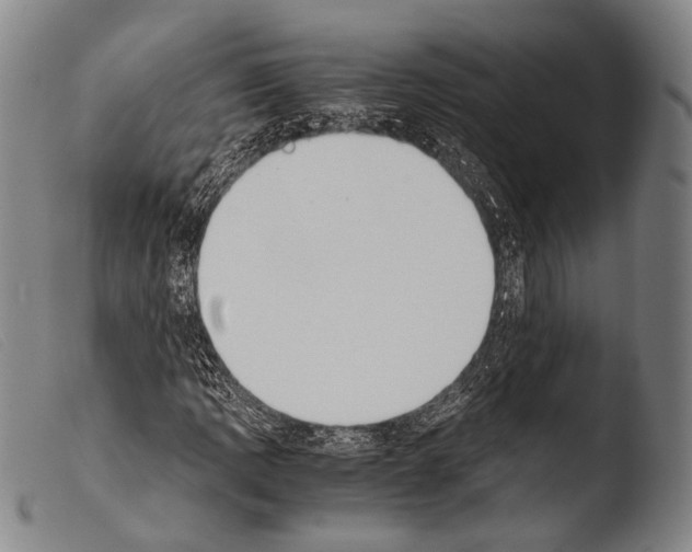 X0000103941109200810311519