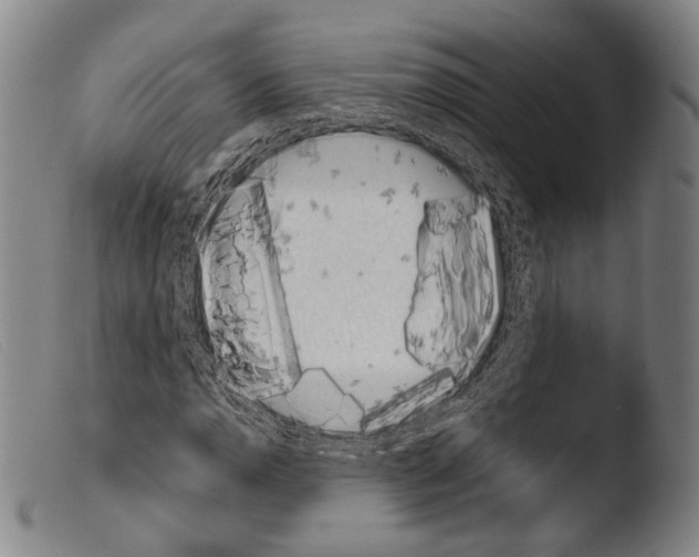 X0000103941110200810311519