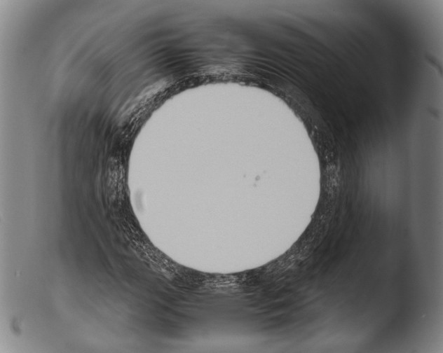 X0000103941111200810311519