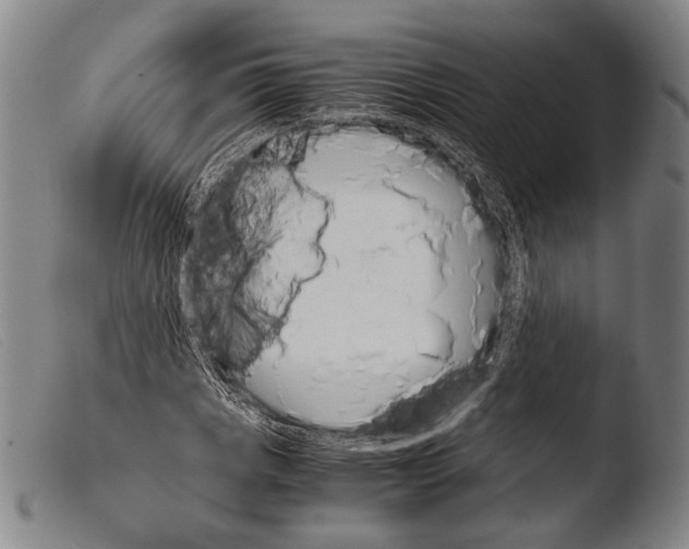 X0000103941113200810311519