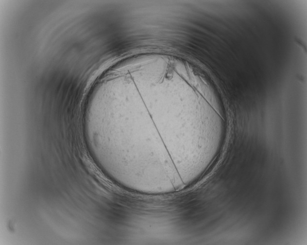 X0000103941114200810311519