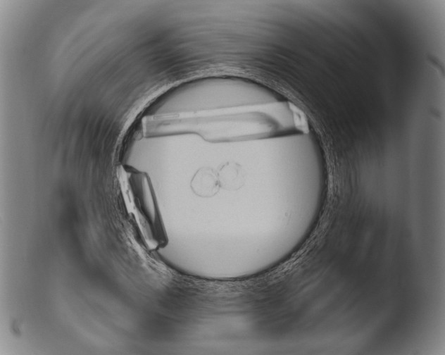 X0000103941116200810311519