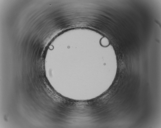 X0000103941118200810311519