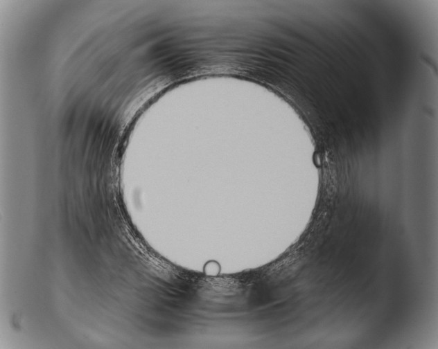 X0000103941119200810311519