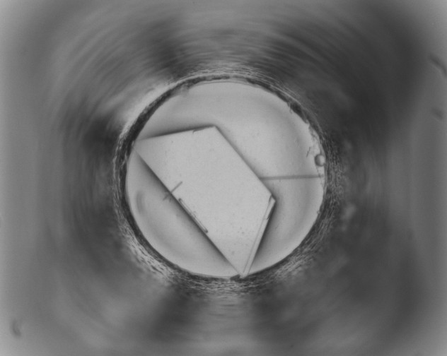 X0000103941120200810311519