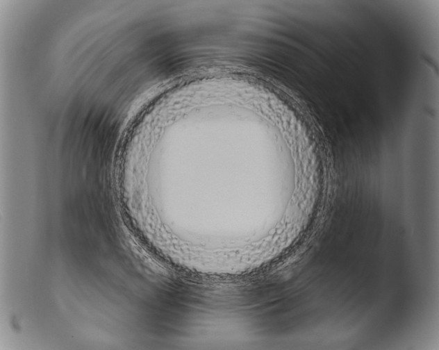 X0000103941122200810311519