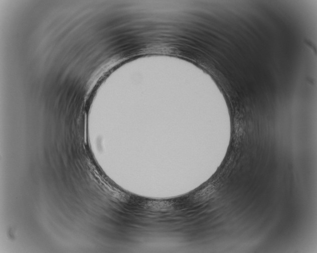 X0000103941123200810311519