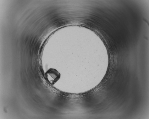 X0000103941124200810311519